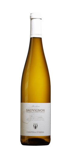 Sauvignon-Cantina-d-Isera