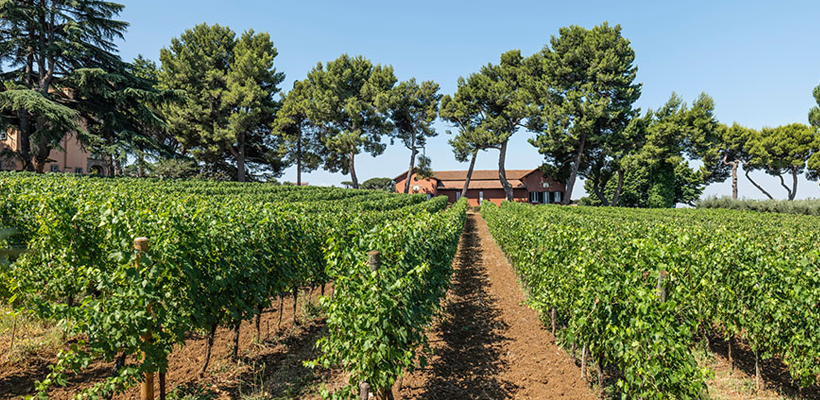 VILLA E VIGNETI