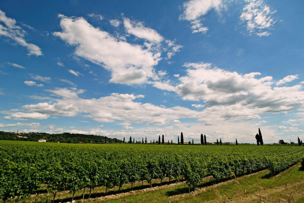 Valpolicella