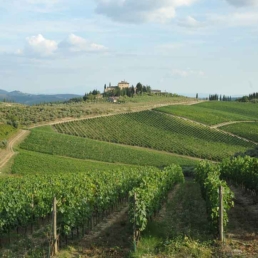 på tur chianti