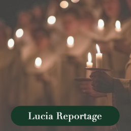 Lucia reportage