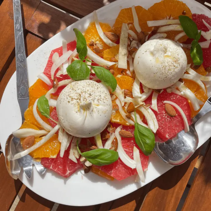 Burrata med citrus och fänkålssallad